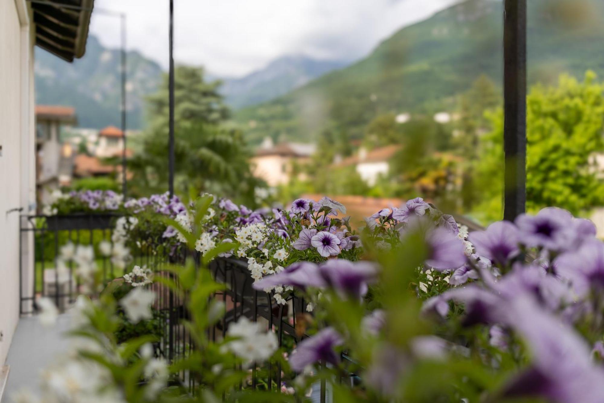 Maji Como Lake Mandello del Lario Dış mekan fotoğraf